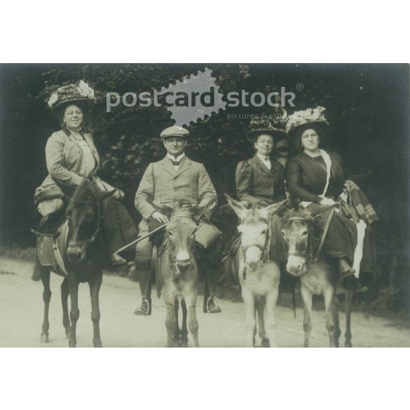 1930-as évek. Németország. Elegáns társaság, szamárháton. A kép készítője és a rajta szereplők személye ismeretlen. Eredeti papírkép, régi képeslap, fotólap. (2792505)