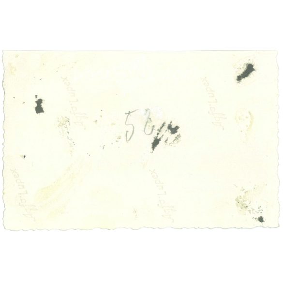 1958. Ausztria. Úszóedzésen a tavon. A kép készítője és a rajta szereplők személye ismeretlen. Fekete-fehér eredeti papírkép, régi fotó. (2792513)