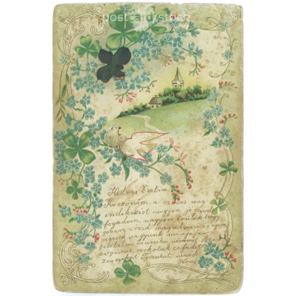1903 - Litografált, dombornyomott régi képeslap. Mezőtúr bélyegzéssel. (2792533)