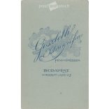 Goszleth István és fia fényképészeti műterem munkája. 1920-as évek, Budapest. Fiatal férfi, műtermi fotója. Régi fotó, vizitkártya, CDV fotó. (2792554)