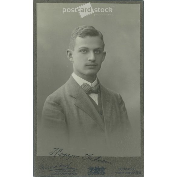 1912. Hoppa Istvánt ábrázoló, műtermi felvétel. Kossak József fényképészeti műterme készítette. Régi fotó, vizitkártya, CDV fotó. (2792555)