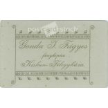 1900-as évek eleje. Fiatal nő elegáns öltözékben, műtermi felvétel. Gonda J. Frigyes műterme, Kiskunfélegyháza. Régi fotó, eredeti kabinetfotó / keményhátú fotó. (2792568)
