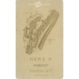 Herz Henrik fényképészeti műterem munkája. 1900-as évek eleje, Budapest. Ismeretlen, fiatal hölgy, műtermi fotója. Régi fotó, vizitkártya, CDV fotó. (2792574)