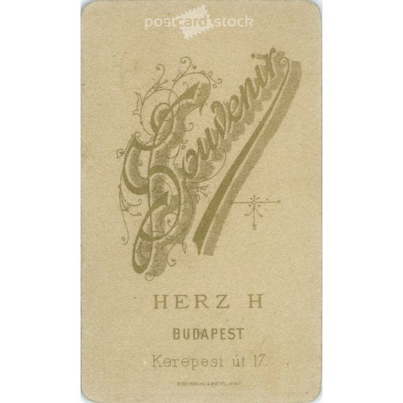 Herz Henrik fényképészeti műterem munkája. 1900-as évek eleje, Budapest. Ismeretlen, fiatal hölgy, műtermi fotója. Régi fotó, vizitkártya, CDV fotó. (2792574)