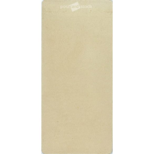 Rechnitzer Károly fényképészeti műterem munkája. 1900-as évek eleje. Pancsova, Szerbia. Ismeretlen, fiatal hölgy műtermi fotója. Régi fotó, vizitkártya, CDV fotó. (2792576)