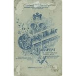 1900-as évek eleje. Budapest. Székely Aladár fényképészeti műterem munkája. Ismeretlen fiatalember portréfotója. Régi fotó, vizitkártya, CDV fotó. (2792607)