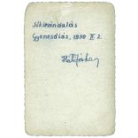 1950. Síkirándulás. Gyenesdiás. A kép készítője és a rajta szereplők személye ismeretlen. Fekete-fehér eredeti papírkép, régi fotó. (2792667)