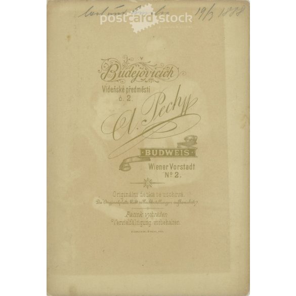 1887. Testvérpár, műtermi felvétele. Személyük ismeretlen. A fotó A. Pech, Budweis, Wiener Vorstadt 2. fényképészeti műtermében készült. Eredeti kabinetfotó / keményhátú fotó / régi fotó. (2792672)