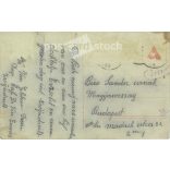 1924 - Újévi üdvözlet. Eredeti papírkép. Régi fotó. Színezett fotólap, régi képeslap. (2792685)