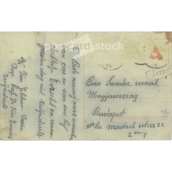 1924 - Újévi üdvözlet. Eredeti papírkép. Régi fotó. Színezett fotólap, régi képeslap. (2792685)