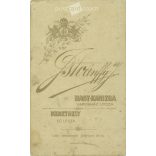 1890-es évek. Nővérek műtermi fotója. A képen szereplők személye ismeretlen. Istvánffy J. fényképészeti műterem munkája. Keszthely. Régi fotó, vizitkártya, CDV fotó. (2792688)
