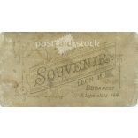 1910-es évek. Fiatal nő műtermi fotója. A képen szereplő személye ismeretlen. Leon H. fényképészeti műterem munkája. Budapest. Régi fotó, vizitkártya, CDV fotó. (2792702)