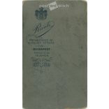 1910 körül. Fiatal férfi műtermi fotója. A képen szereplő személye ismeretlen. Rivoli fényképészeti műterem munkája. Budapest. Régi fotó, vizitkártya, CDV fotó. (2792712)