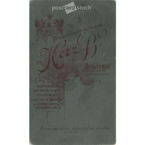 1900-as évek eleje. Előkelő úr kalapban, műtermi fotója. A képen szereplő személye ismeretlen. Herz B. fényképészeti műterem munkája. Budapest. Régi fotó, eredeti kabinetfotó / keményhátú fotó. (2792778)
