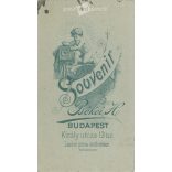 Zwickeres úr, csokornyakkendővel, portréfotó. Eredeti kabinetfotó / keményhátú fotó / vizitkártya, CDV fotó. (2792815)