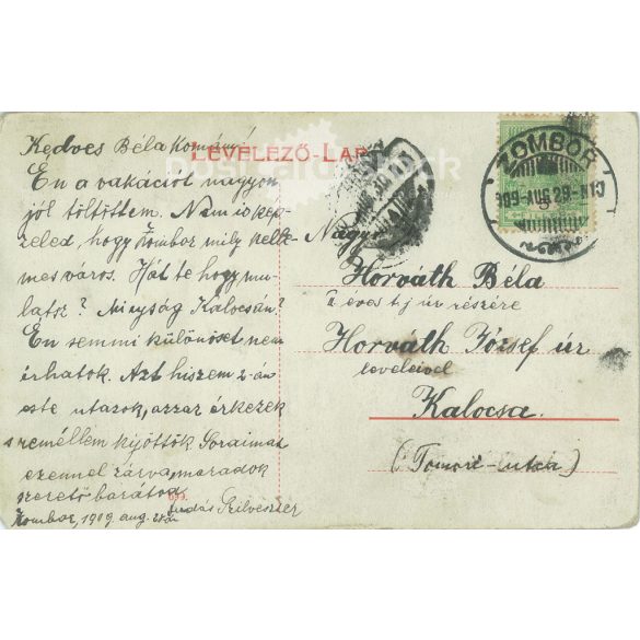 1909 - Zrínyi utca, Zombor. A képen szereplők és a kép készítője ismeretlen. Eredeti papírkép. Színezett fotólap, régi képeslap. (2792819)