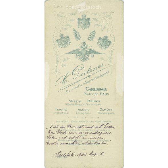 1900 - Elegáns fiatal úrhölgy műtermi portréfotója. A képen szereplő személye ismereten. A fotó C. Pitzner fotóműtermében készült, Karlsbad. Régi fotó. Eredeti kabinetfotó / keményhátú fotó / vizitkártya, CDV fotó. (2792848)