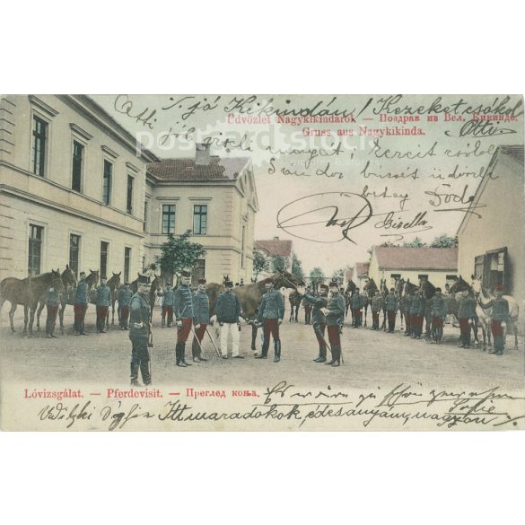 1903 - Üdvözlet Nagykikindáról. Lóvizsgálat. Színezett fotólap, képeslap. (2792947)