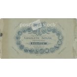 A fotón egy ismeretlen, előkelő személy látható, díszmagyarban. A fotó Goszleth István fényképészeti műteremében készült. Régi fotó / Kabinetfotó / keményhátú fotó. (2793197)