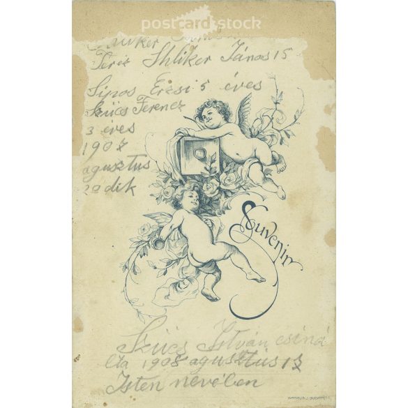 A felvételt 1908 augusztusában készítette Szűcs István, Isten nevében, feltehetően saját családjáról. Eredeti kabinetfotó / keményhátú fotó / vizitkártya, CDV fotó. (2793217)