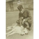 1917 - Fiatal tiszt kutyájával. Eredeti papírkép. (2793355)