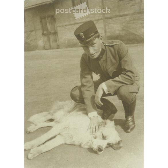 1917 - Fiatal tiszt kutyájával. Eredeti papírkép. (2793355)
