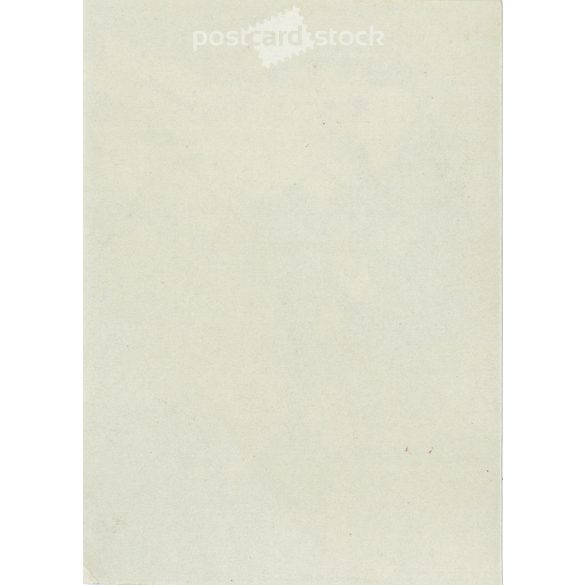 1917 - Fiatal tiszt kutyájával. Eredeti papírkép. (2793355)