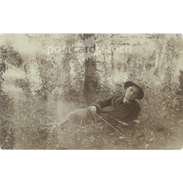 1917 - Ismeretlen fiú fotója egy erdőszélen. Fegyvernekről tábori postára küldve. Eredeti papírkép. Fekete-fehér, szépia hatású fotólap, képeslap. (2793394)