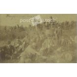 1886 - Hangács, szőlőbirtok. Vadászat a bodrogkeresztúri határban szüret idején. A képen szereplők és a kép készítője ismeretlen. Fekete-fehér, nagyméretű, kasírozott fotó, eredeti papírkép. (2793422)