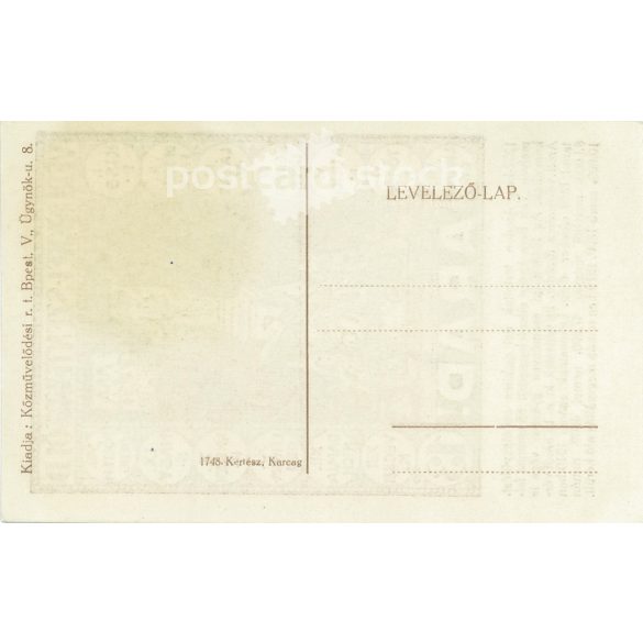 1920-as évek. Vérünkkel szentelt föld. Arad! Egyszínes, litografált, régi képeslap. (2793550)