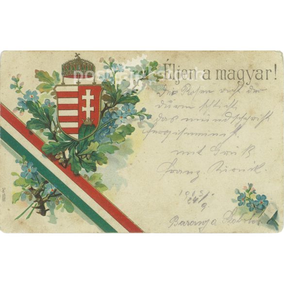 1905 - Éljen a magyar! Színezett litográfia. Régi képeslap. (2793556)