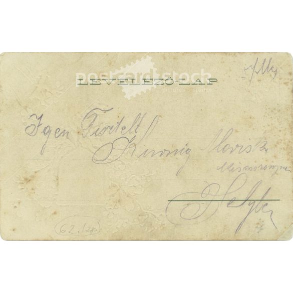 1905 - Éljen a magyar! Színezett litográfia. Régi képeslap. (2793556)