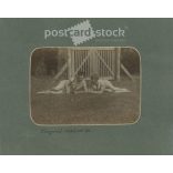 1920 - Visegrád. Vidám pillanatok. A képen szereplők és a kép készítője ismeretlen. Régi fotó. Fekete-fehér fotó, eredeti papírkép. (2793631)