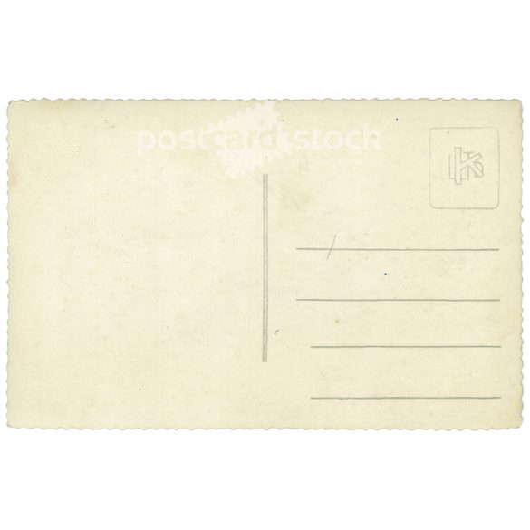 Vidám társaság családi összejövetelen. A képen szereplők és a kép készítője ismeretlen. Eredeti régi fotó. Fekete-fehér fotólap, régi képeslap. (2793651)