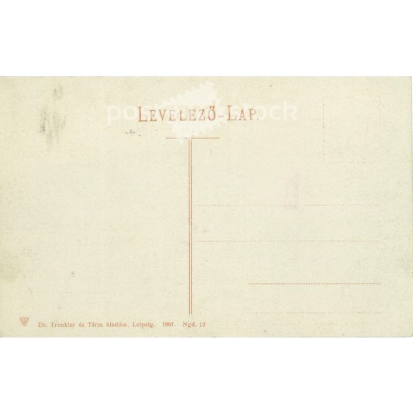 1919 - Nagyvárad, Szigligeti színház az előtte várakozó fiákerekkel. Dr. Trenkler és Társa kiadása. Eredeti régi fotó. Színezett fotólap, régi képeslap. (2793655)