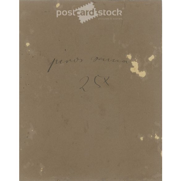 Cca 1905 - Piros Anna fotója. A kép Hollósi József fotóműtermében készült, Szabadkán. Eredeti régi fotó. Fekete-fehér, kasírozott fotó, eredeti papírkép. (2793853)