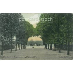   1907 - Schönbrunn, Bécs. Eredeti régi fotó. Színezett fotólap, régi képeslap. (2793874)